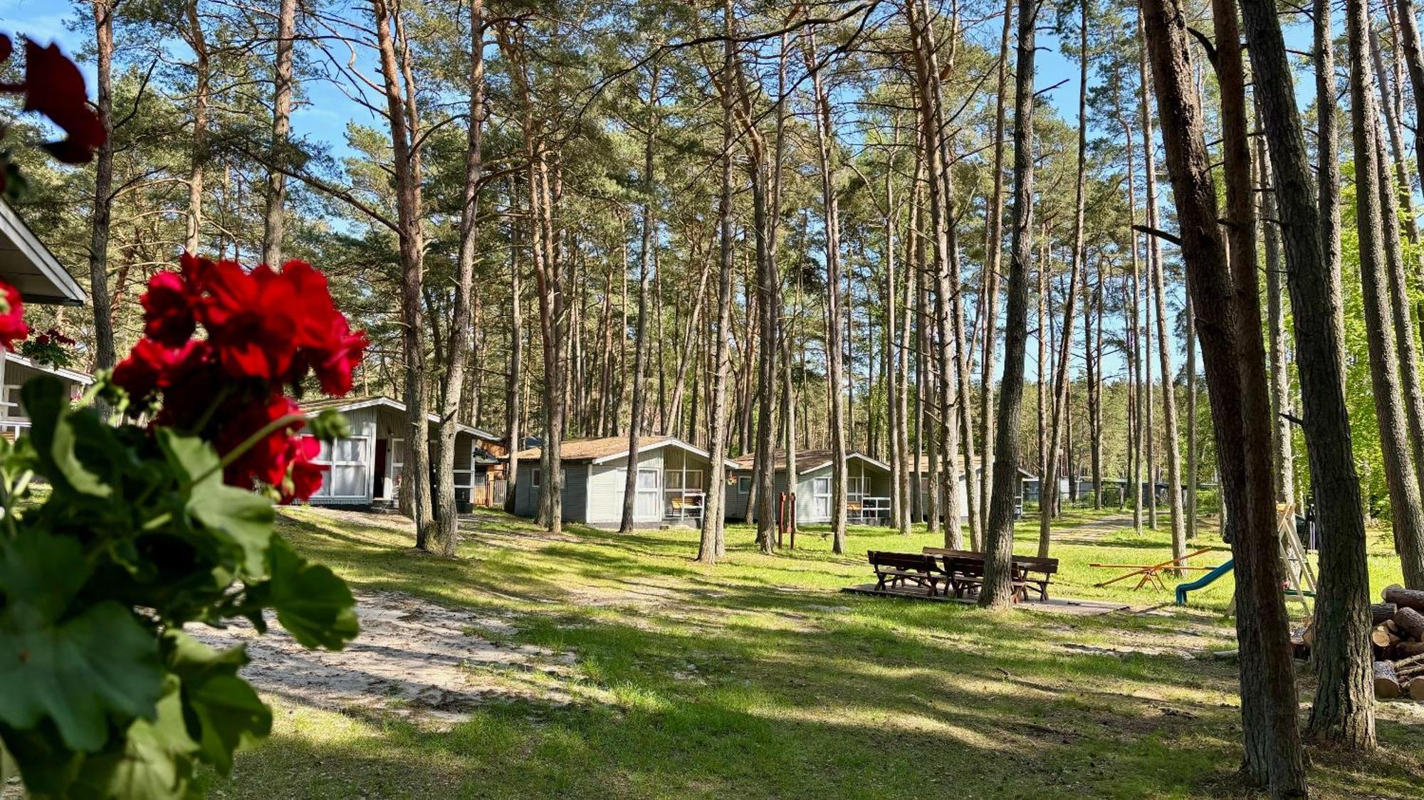 Lesna Przystan Vila Pobierowo Exterior foto